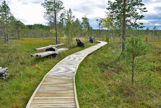 Kuva: Terttu Hermansson Haasteita matkailussa Tuntematon alue Suomessa ja kansainvälisesti Ulkona kärkihankkeista Visit Finland ei ole ollut