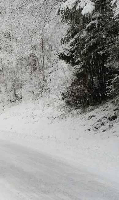 Näitä osia ovat muun muassa joustavat terät ja kääntösylinterien iskunvaimenninventtiilit, jotka