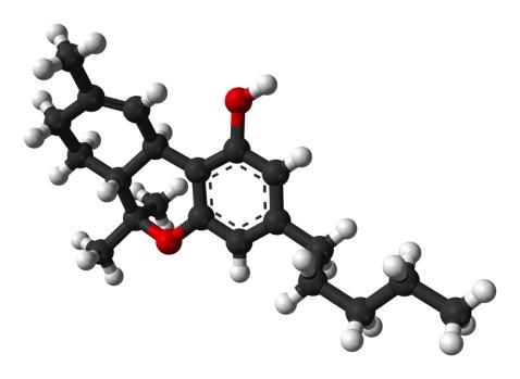 anandamidin substraattianalogi, eli THC toimii elimistössä sisäsyntyisen anandamidin tavoin (Lemke ja Williams, 2008; Justinova ym., 2005). Δ 9 -THC on CB1- ja CB2-reseptoreiden osittaisagonisti.