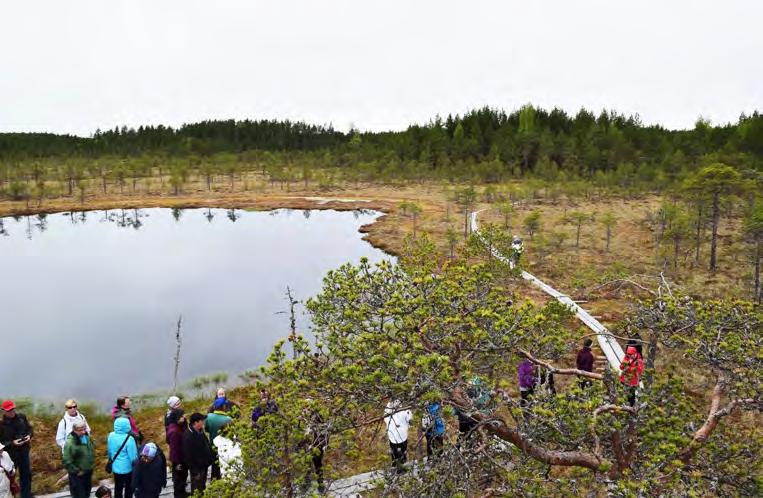 Astamyrskyn (2010) riepottelema saari, Iso- Häntiäinen, ennaltamispoltettiin vuosi myrskyn jälkeen. Kansallispuistoon pääsee sekä vesitse, että maitse.