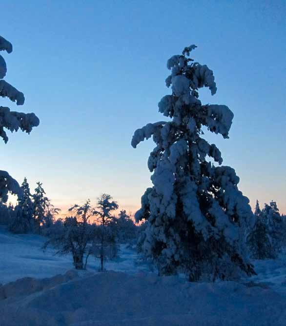 Turun Latu toivottaa