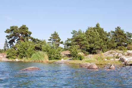 ELKILAIRI I JLKISTE LKOTILOJE VIITESITELA 20.11.2017 7.5 m/s LESOSVILLISS LYYSI Kasvllsdella vodaan vakttaa merkttäväst tlen vomakkteen.