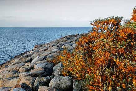 5 m/s Tlensojavyöhykkeeseen vodaan vakttaa maastonmodolla, kasvvalnnolla, sttksen theydellä, modolla ja korkedella.