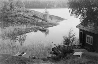 ELKILAIRI I JLKISTE LKOTILOJE VIITESITELA 20.11.2017 LIAISTO KOPTI VÄLTETTÄVÄ TILAE TAVOITELTAVA TILAE REITIT Psto lttyy aleen pääklkväyln.