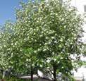 net/search/qery/ tags/?tag=ylenen s.34 http://s-kapnk.