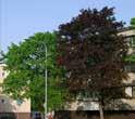 f/f/lanssatama/ rakentamnen/jatkasaaren-kaavots https://www.rengontamtarha.