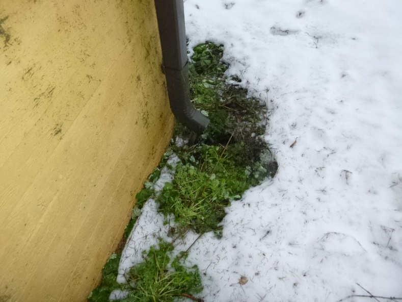 11 8. Sadevesien poistojärjestelmä ja salaojat HAVAINNOT Salaojista ja niiden toimintakunnosta ei saatu havaintoa.