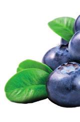 MARLI VITAL 50 % VÄHEMMÄN LISÄTTYÄ SOKERIA HUJUOMAT Hedelmänektari + 10 vitamiinia 50 % väh.