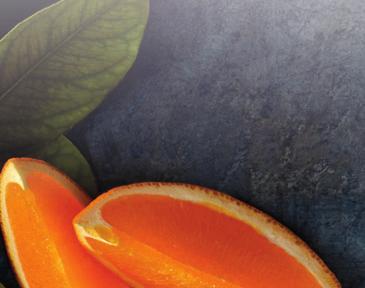 PE 52 vrk EKO Fruitveggie 1 l 1004675 me