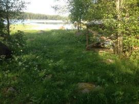 Punarinnan pesä oli tuhoutunut puuvajassa, kolme pientä poikasta oli pöydällä ja pesä hujan hajan. Munankuoria ei näkynyt eikä puuttuvia poikasiakaan. Istutin kotoa tuodut kanervat rantaan.