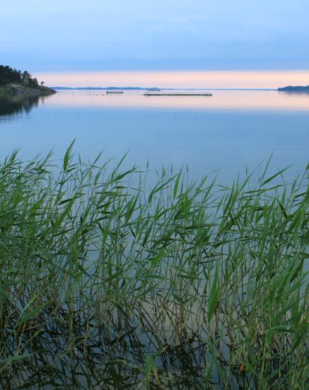 3. Muutospuheeseen vastaaminen ² Tarkentaminen avoimia kysymyksiä käyttäen ² Positiivinen vahvistaminen ²