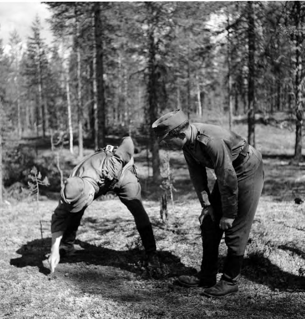 KAUKOPARTIOINTIA JA TIEDUSTELUA VIHOLLISEN SELUSTASSA Tiedustelutoimintaan liittyvä jälkienseuraamiskurssi Uhtuan suunnalla kesällä 1944.
