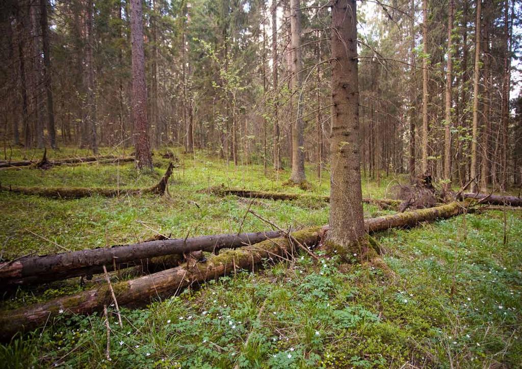 3 Kaavoituksen tavoitteet Sveitsin puistoa