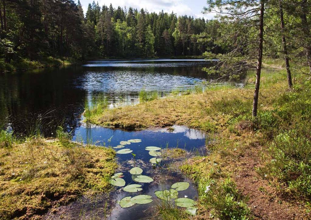 8 Suunnittelutarvealueet ja poikkeaminen 36