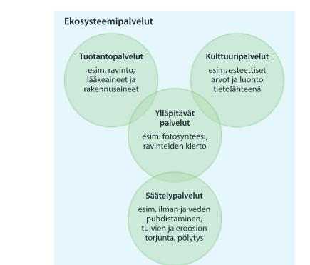 BIOS 3 jakso 3 Ekosysteemipalvelut Ekosysteemipalvelut