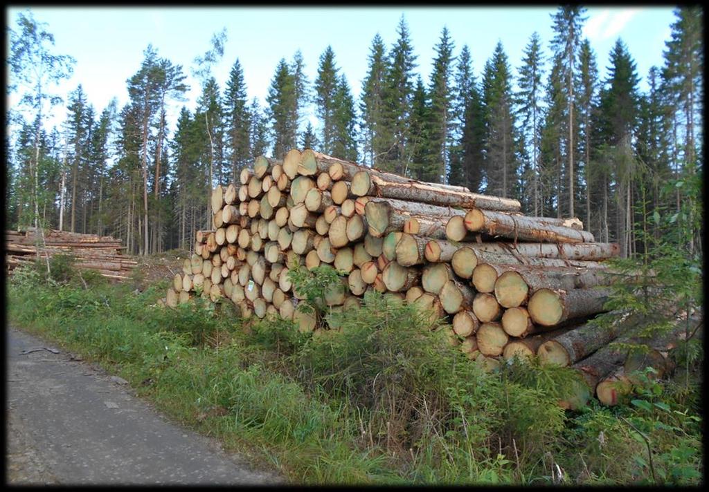 Puuhankinnan käsitteet Tässä luentomateriaalissa käydään läpi suomalaiseen puunhankintaan liittyviä käsitteitä, jotka on osattava ulkoa.