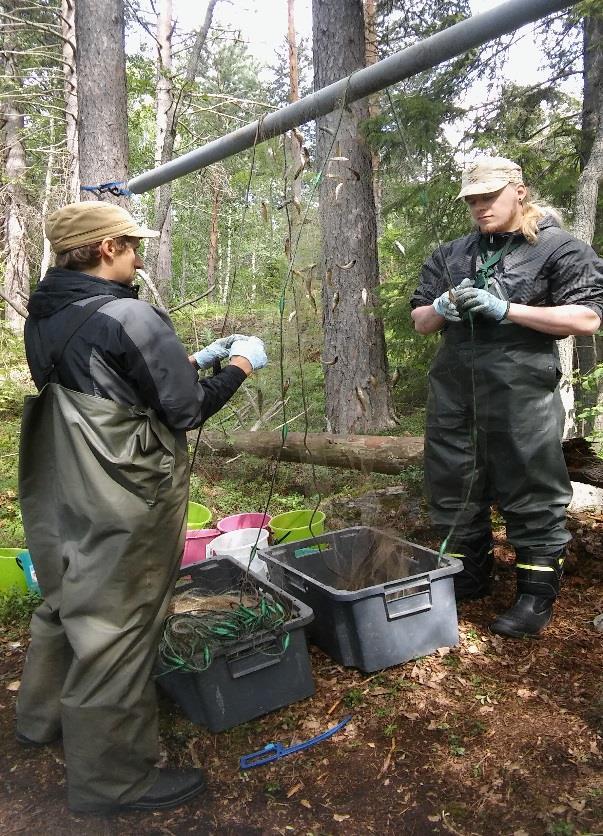 SAVO-KARJALAN YMPÄRISTÖTUTKIMUS OY B 5284 PRO RUOKOJÄRVI RY KERIMÄEN