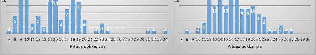 231,8 16,7 53,8 60 5795,4 Petokalat (yht.) 2,4 239,8 8,6 20,8 61 5994,4 Kuva 2.