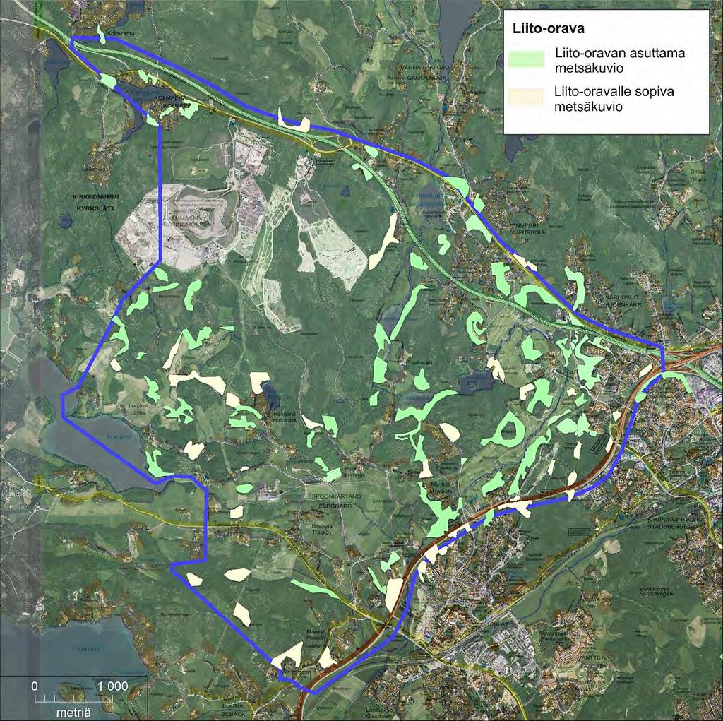 4.3 Tarkastelussa käytetyt avainlajit Liito-orava Liito-oravien esiintyminen selvitysalueella on kartoitettu viimeksi keväällä 2014 osana koko Espoon kattavaa liito-oravien kokonaisselvitystä