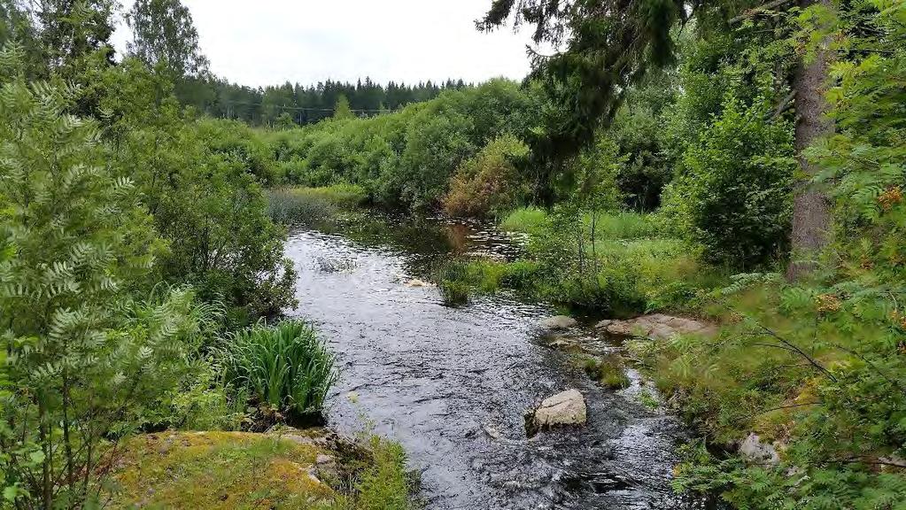 sistöjen rantoja, metsäautoteiden varsia ja muita johtolinjoiksi sopivia aukeita, joiden ympäristössä on suojaa tarjoavaa puustoa.