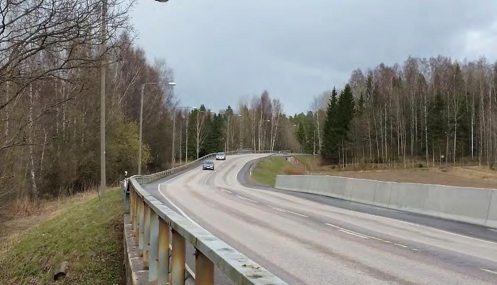 Mankin metsäalueen ja Ämmässuon metsäalueen välinen yhteys on ainakin hirvieläinten käyttämä, mikä näkyy onnettomuuksien keskittymisenä Lapinkyläntielle.