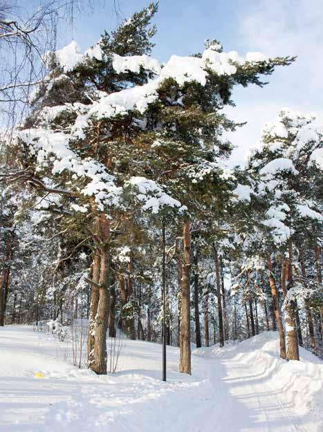 työtiloina.