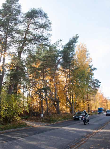 43Z Vanha Dennissofkan puretulle