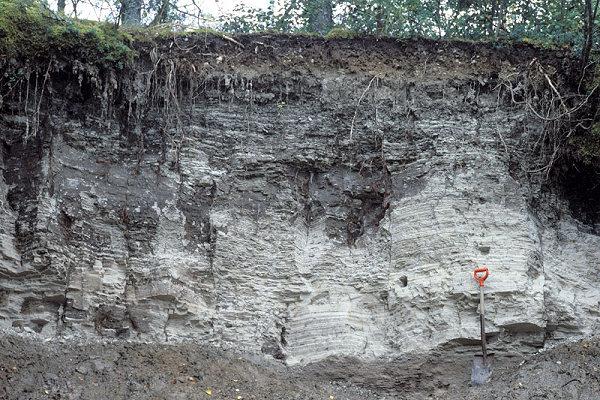 5 Kuva 1. Kerrallinen lustosavi (Geologia.fi 2014) 2.1.2 Karkearakeiset maalajit Karkearakeisia maalajeja hiekkaa ja soraa esiintyy pääsääntöisesti koko maassa.