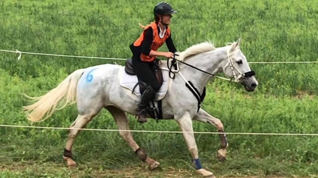 Alina Huovinen Garcialle FEI Elite Senior Rider- titteli! Alina Huovinen Garcia hevosella Shagya Malna saavutti 5 sijan 3*160km:n matkalla 19.