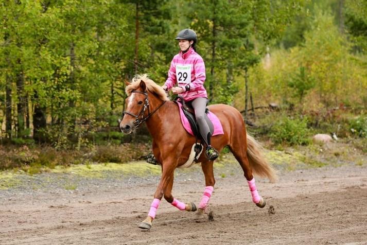 SRL:n I-tason valmentajakoulutus Ypäjällä Anna Mennola Kun itse kiinnostuin matkaratsastuksesta viitisen vuotta sitten, jouduin aloittamaan harrastuksen totaalisen yksin.