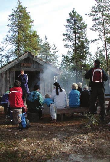 Tampinpolku www.petajavesi.