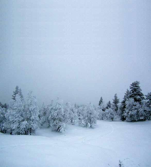 Kaamoksen aikaa, värien taikaa Kaamoshiihtoa Kiilopäällä viikolla 49 30.11-8.12.2018 Lähdemme perjantaina 30.11.2018 klo 22.00 Turun linja-autoaseman tilausajolaiturista.