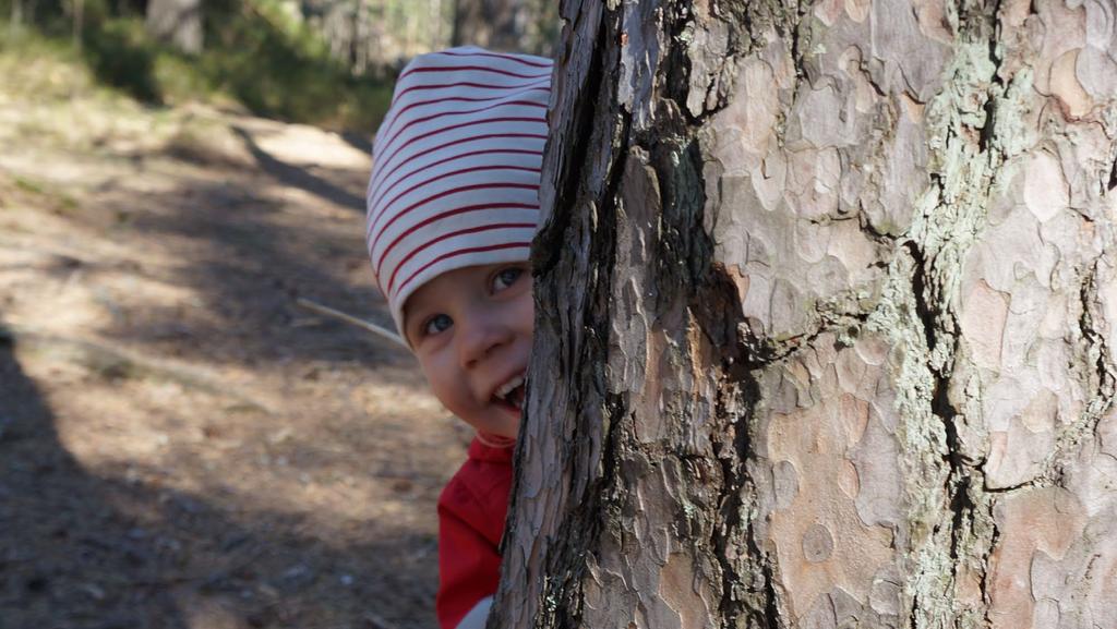 METSÄSUHDE RAKENTUU LÄPI ELÄMÄN Elämänpituisen metsäsuhteen lähtökohta lapsuudessa ja omissa metsäkokemuksissa ja