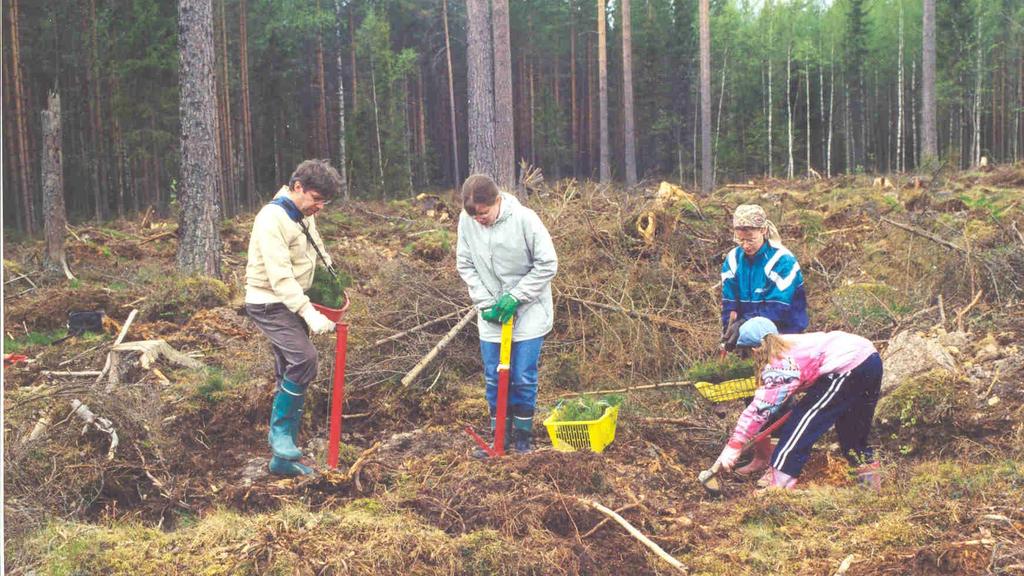 elämänvaiheissa Metsäsuhteeseen vaikuttavat oma elämäntarina, suku- ja perhetausta, koulu, päiväkoti, työ, vapaaaika,