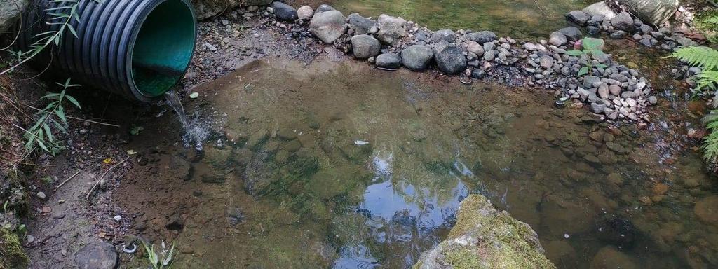 metsäaukeama oli varsin tukkeutunut ja