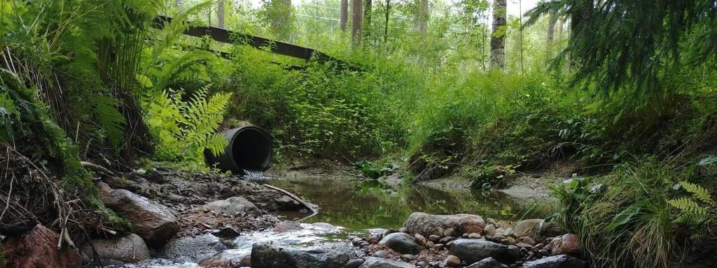 Tervaoja ei ole vesimäärältään häävi, mutta esimerkiksi taimenen nollikkaiden elinalueeksi vesimäärä riittäisi varsin mainiosti.