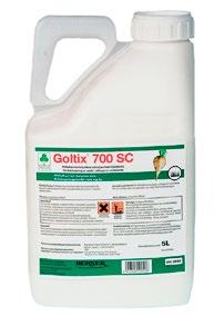 84 RIKKAKASVIEN TORJUNTA Goltix 700 SC 5 l Perusta juurikkaiden rikkakasvitorjunnalle Siemenrikkakasvien torjuntaan sokerijuurikas-, punajuurikas- ja rehujuurikasviljelyksiltä KÄYTTÖOHJE: Sokeri- ja