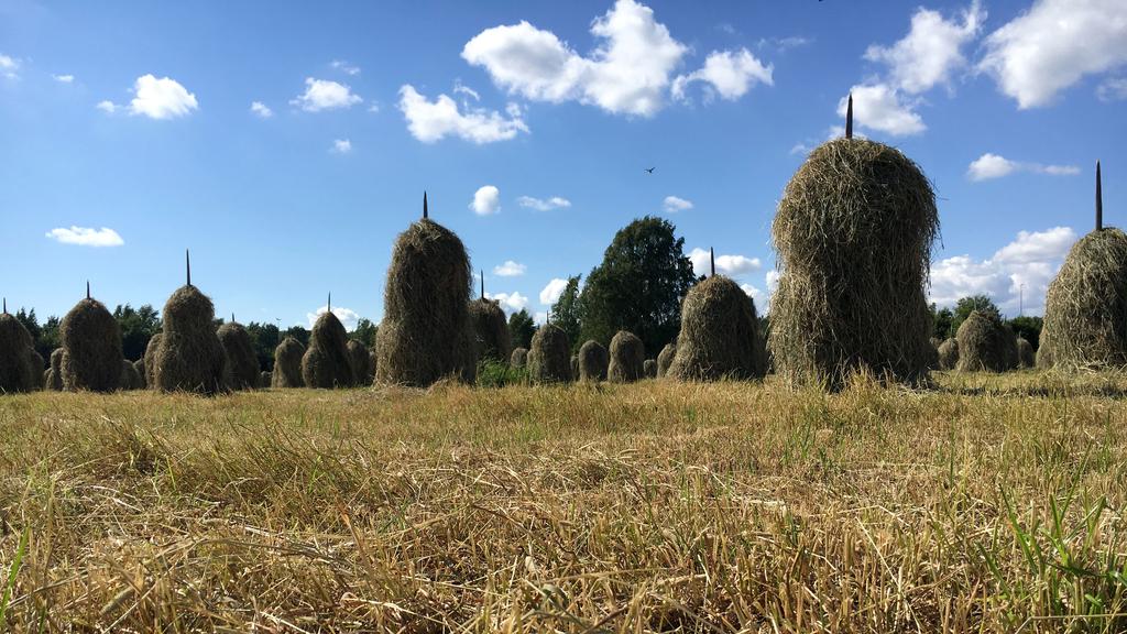 HEINÄKUUN TALOUSKATSAUS Talouskasvu vahvistunut ja laajentunut vientiin 13.7.