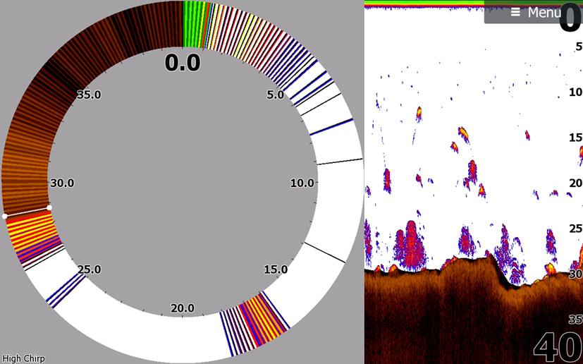 Flasher-rengasnäkymä Flasher-tilassa luotainkuva näkyy vasemmassa ruudussa rengasmaisena näkymänä ja oikeassa ruudussa normaalina näkymänä. Värit Voit valita useiden eri näyttövärien välillä.