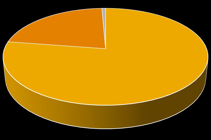 Lähes 80 % vastaajista oli täysin tyytyväisiä asiakasohjaajan kotikäyntiin Kyselyitä palautui yhteensä 146 vastausprosentti 46 % Täysin tyytyväisiä asiakasohjaajan käyntiin oli 113 vastaajaa vastasi