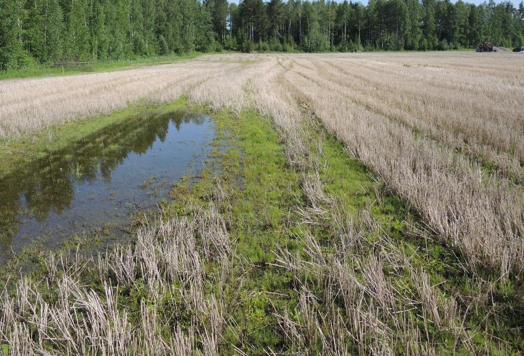 Toimiva salaojitus Toimiva salaojitus tarkoittaa hyvin suunniteltua ja toteutettua salaojitusta sekä peruskuivatusta Tilanne jossa salaojitus ei toimi: Peruskuivatustilanne heikentynyt, jolloin