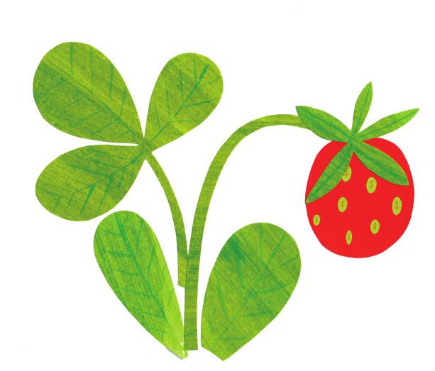 Lumotut sanat matkaa menneeseen ja kutsuu juhliin juuri nyt Kirja on seikkailu. Se on aikakone ja portti loputtomaan fantasiaan.