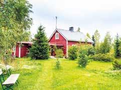 tulisijoja, tilava sauna/talousrakennus, yli 2,8ha t. Isohiidentie Mh. 164.