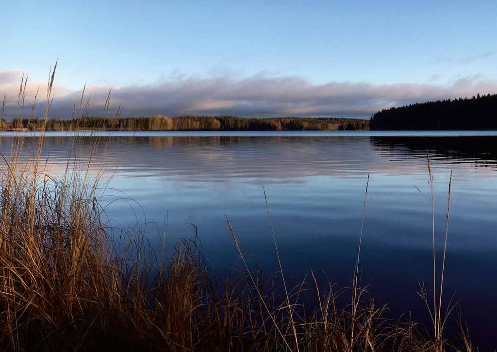 Tukivuosi 2018