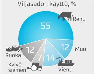 Rehuksi käytetty viljasato Noin puolet rehuviljoista märehtijöille (lehmät, lampaat),