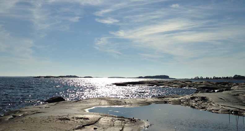 Virtsakäymälä Vesihuuhtelulla tai ilman Virtsamalja Virtsamalja kerää virtsan, joka sitten johdetaan käymälän taakse poistoputkeen.