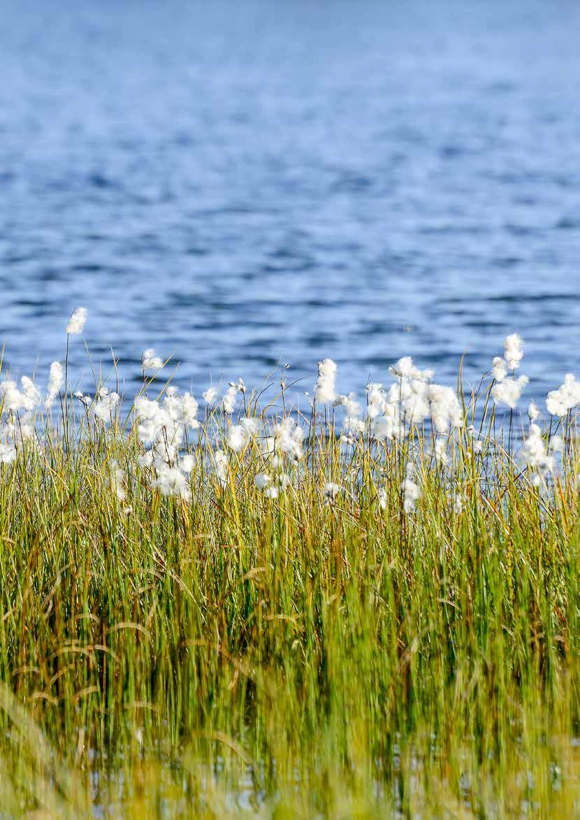 Erotteleva käymäläratkaisu Moderni kuivakäymälä on enemmän kuin vain vessa. Se on hajuton kokonaisratkaisu mahdollisuudella kompostoida jäte ja palauttaa se luontoon.