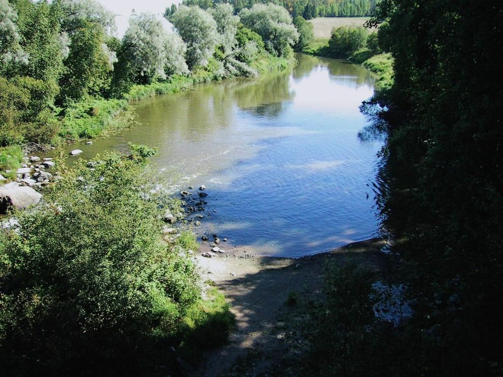 3.3 Poikasnuottaukset Poikasnuottaa vedettiin elokuun lopussa Vantaanjoen pääuomassa seitsemällä ja Palojoessa yhdellä suvantoalueella.