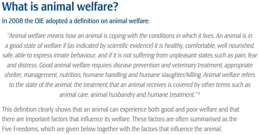Animal welfare worldwide, the role of
