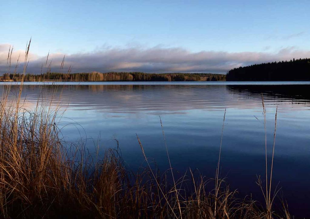 Tukivuosi